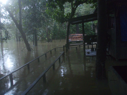 Flooded Uncle Tans Borneo - Dante Harker