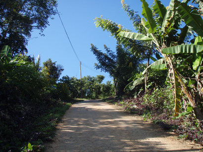 The concrete path on the way up to the Hill Tribe 