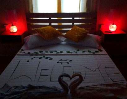 Our perfectly formed room at the wonderful Summer Shade Inn, Dharavandhoo, the Maldives. Dante Harker