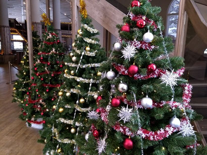 Christmas in Lapland all year round - Dante Harker