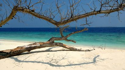Everywhere you look in the Maldives is an image ready for a screen-saver. Dante Harker