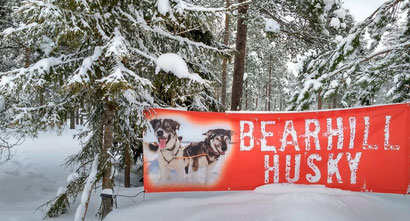 Bear Hill Husky - Dante Harker