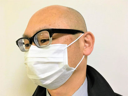 これは森ではありません。フリー画像です・笑