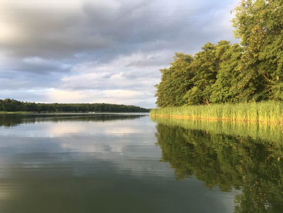 Drewensee, Angeln am Drewensee, Angelurlaub, Ferienhaus mieten, Matildaurlaub, Matilda