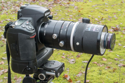 D700 mit Nikon Medical-Nikkor 200mm f5.6 1:15 – 3:1 (uralt)