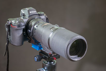 Z6 mit Nikon 200mm f4 D Micro Nikkor 1:1 (alt)