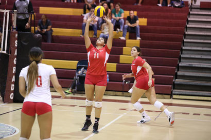 Las Jerezanas de la UPR de Río Piedras van a semifinales del voleibol LAI. (J. Santana) / FOTO POR LAI