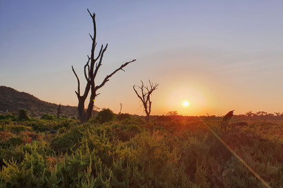 Sonnenaufgang im Samburu Reservat