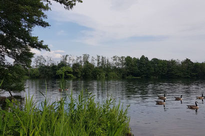 Großkrotzenburger See, Hessen