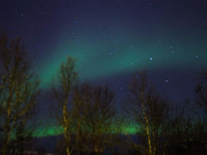 Nordlichter im Stadtwald von Tromsø