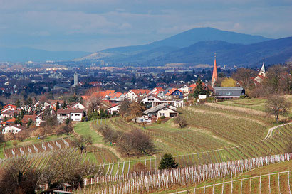 (c) Gerd W. Zinke