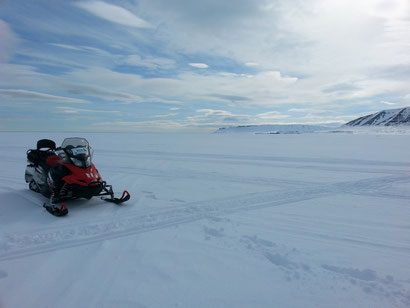 Spitzbergen, Mai 2014