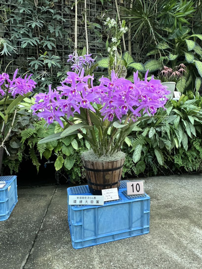 農場だより - (株)東京オーキット・ナーセリー