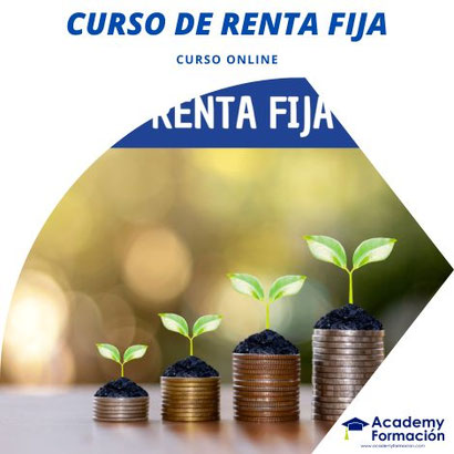 curso de renta fija