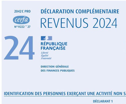 déclaration revenus Einkommensteuer Frankreich Cerfa 2042
