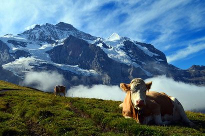 Bild: Kleine Scheidegg