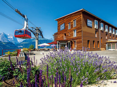 ©Hotel Panorama