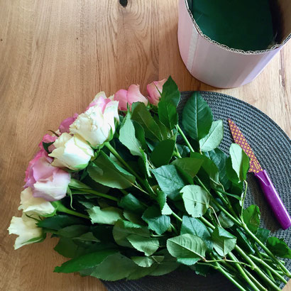 Rosen zuschneiden Blumenbox DIY