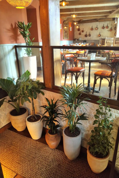 pots et plantes dans cette salle de restaurant