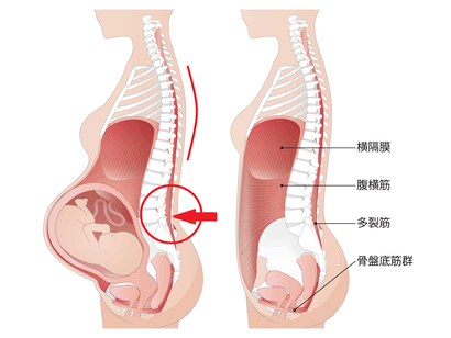 青森市桂木の整体院です。ヒーリング整体オアシスのマタニティ整体は、妊婦さんの腰痛、肩こり、背部痛、お尻の痛みなどの不調に施術をして、笑顔で快適なマタニティライフを過ごせるようにサポートしていきます。