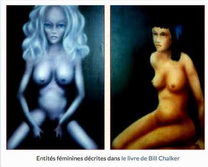 entités féminines livre de Bill Chalker