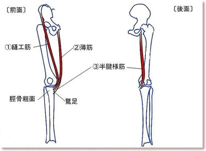健心整骨院 妊娠中の膝の痛み