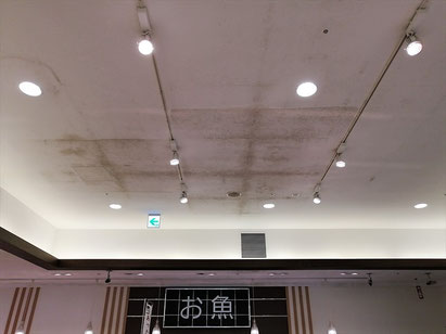 防カビ施工前