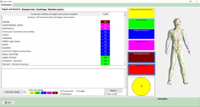 analyses of organs and systems after measuring with ROFES MONICOR and a model with acupuncture points on the side