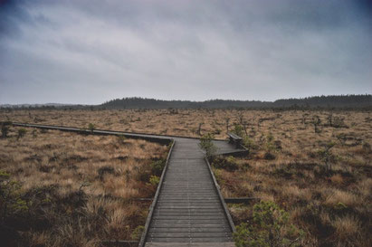 Der Weg vor mir, was bringt der Morgen, zukunft, ewige dunkelheit, der weg ist lang, das leben, vergänglichkeit, ende des weges, gedanken, viesuelle zitate, texte schreiben, auf antworten warten, blog, bild, foto, schicksal,