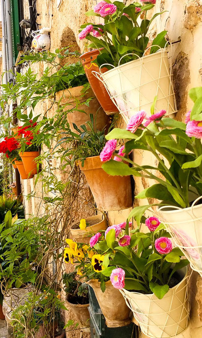 Blumenspiel