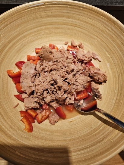 Thunfisch und Paprika geschnitten für Thunfischalat in einer Salatschüssel