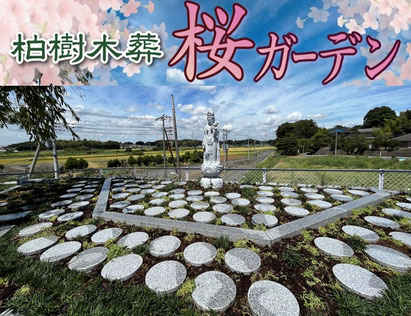 柏市樹木葬