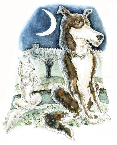 Laila, die schöne Hündin, Freundin vom Wolf  © Caroline Ronnefeldt