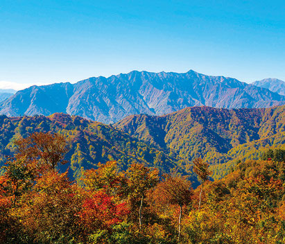 写真提供：奥只見観光(株)