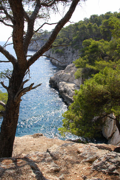 Bild: Wanderung in der Calanque de Port Miou