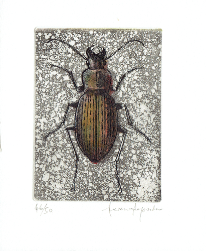 acquaforte/acquatinta acquarellata di Luciano Ragozzino