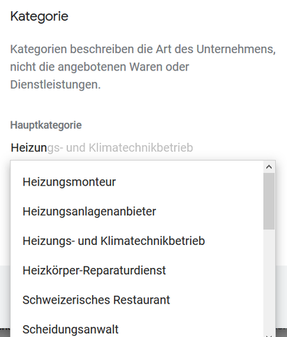 Kategorie in Google MyBusiness / Google Maps einstellen