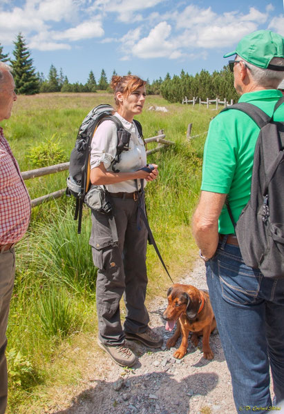 Nationalpark-Rangerin Heidrun Zeus vor den Grindenflächen