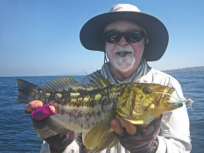 Calico bass taken on a Clouser Minnow