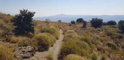 Loma de Juviles. Blick zur Sierra de Contraviesa.