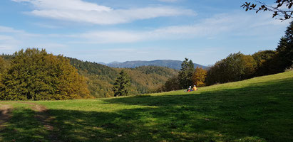 Bei Lochberg, Blick zum Grand Ballon (Bildmitte).