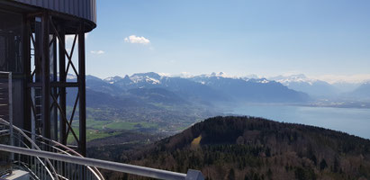 Mont Pèlerin, Blick Richtung Chablais und Walliser Alpen.