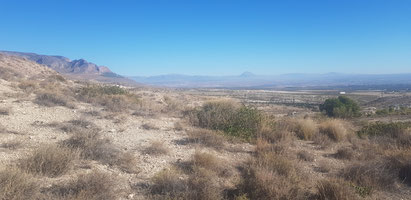 Blick über den Altiplano mit Jabalcón (links) und La Sagra (hinten Mitte).