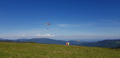 Ballon d'Alsace, Blick nach Osten.