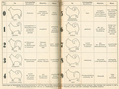 Zuchtwertschätzung DDR Deutscher Spitz Kleinspitz Mittelspitz Großspitz Wolfsspitz Wertmesszifferntabelle