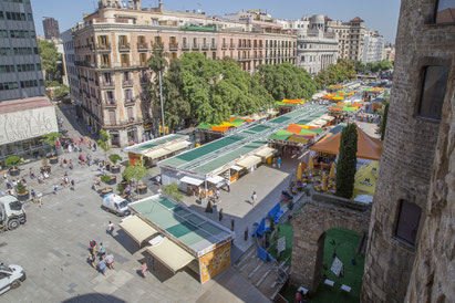 Foto del Flickr de la Setmana (feta per Manuel Medir Roca)