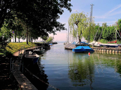 Gondelhafen Friedrichshafen-Fischbach (Bild: MS)