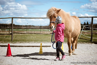 sanft reiten lernen, reiten für Kinder, Kinderkurs, Reitvorschule, Umgang mit Pferd, Pferd pflegen