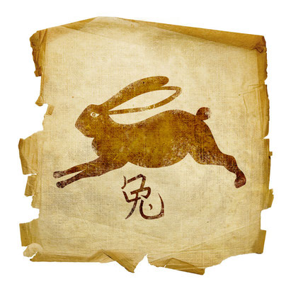 Hase Eigenschaften Hase Eigenschaften
