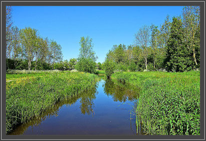 Foto: pixabay.com - Symbolfoto